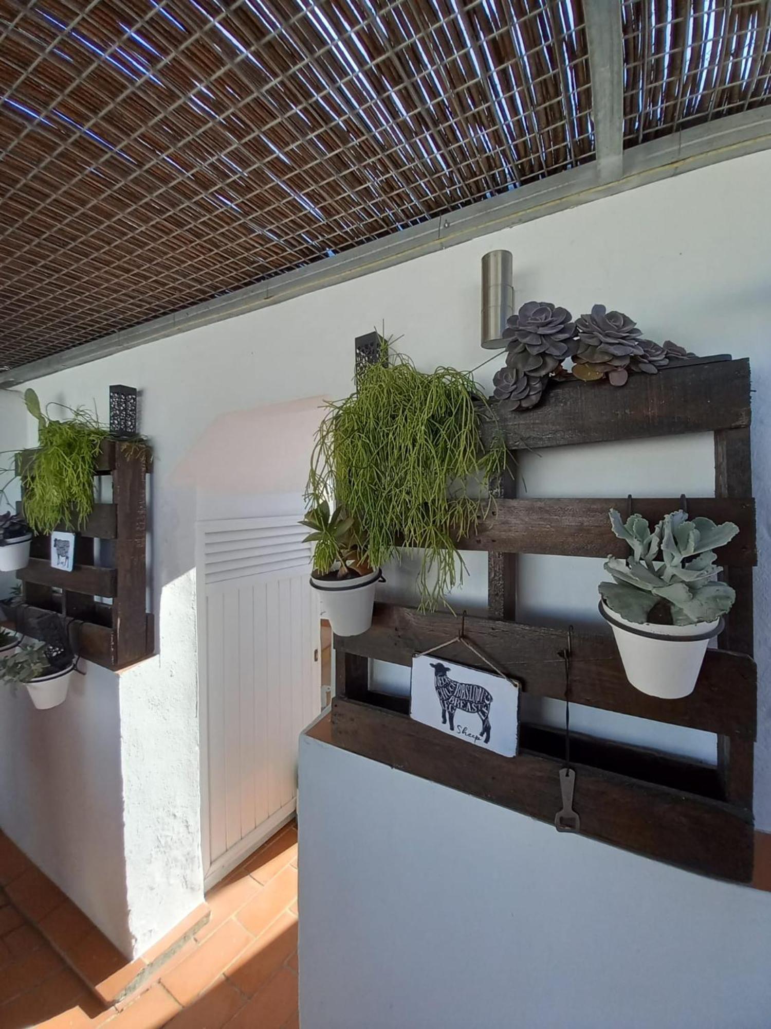 Casa El Molino Villa Conil de la Frontera Kültér fotó